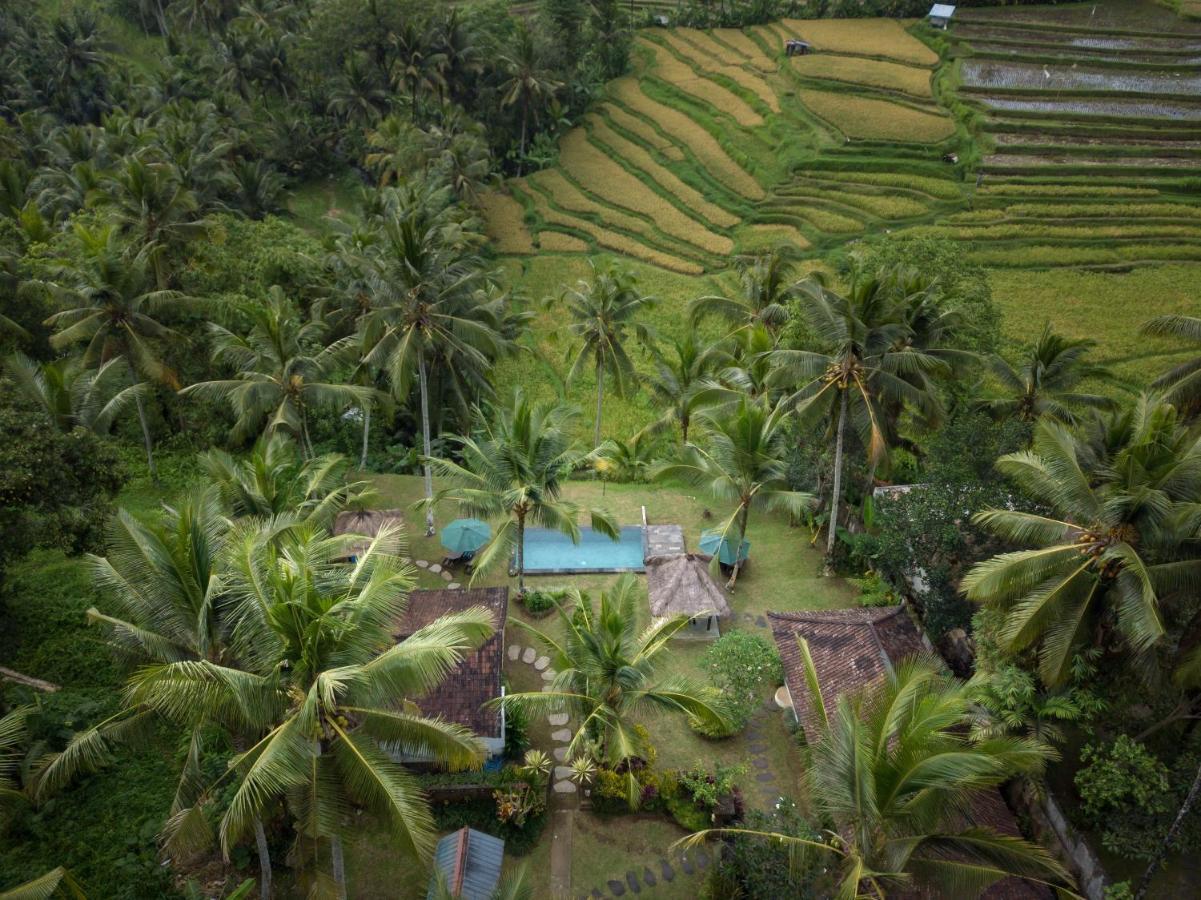 Green Sari Private Villa Ubud Eksteriør bilde